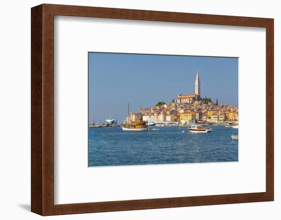 View of harbour and the old town with the Cathedral of St. Euphemia, Rovinj, Istria, Croatia-Frank Fell-Framed Photographic Print