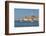 View of harbour and the old town with the Cathedral of St. Euphemia, Rovinj, Istria, Croatia-Frank Fell-Framed Photographic Print