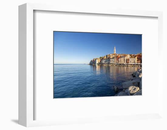 View of harbour and the old town with the Cathedral of St. Euphemia, Rovinj, Istria, Croatia-Frank Fell-Framed Photographic Print