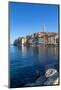 View of harbour and the old town with the Cathedral of St. Euphemia, Rovinj, Istria, Croatia-Frank Fell-Mounted Photographic Print