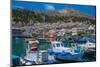 View of harbour boats in Kalimnos with hills in the background, Kalimnos, Dodecanese Islands-Frank Fell-Mounted Photographic Print