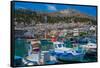 View of harbour boats in Kalimnos with hills in the background, Kalimnos, Dodecanese Islands-Frank Fell-Framed Stretched Canvas