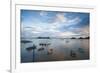 View of Harbour-Jane Sweeney-Framed Photographic Print