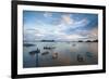 View of Harbour-Jane Sweeney-Framed Photographic Print