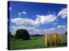 View of Hay Bales in Farm Field, Lexington, Kentucky, USA-Adam Jones-Stretched Canvas