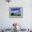 View of Hay Bales in Farm Field, Lexington, Kentucky, USA-Adam Jones-Framed Photographic Print displayed on a wall