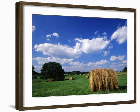 View of Hay Bales in Farm Field, Lexington, Kentucky, USA-Adam Jones-Framed Photographic Print