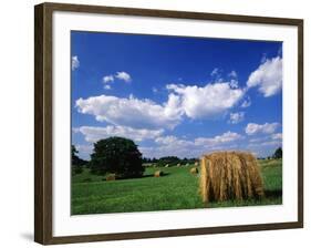 View of Hay Bales in Farm Field, Lexington, Kentucky, USA-Adam Jones-Framed Photographic Print