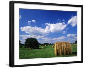 View of Hay Bales in Farm Field, Lexington, Kentucky, USA-Adam Jones-Framed Photographic Print