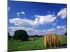 View of Hay Bales in Farm Field, Lexington, Kentucky, USA-Adam Jones-Mounted Photographic Print