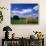 View of Hay Bales in Farm Field, Lexington, Kentucky, USA-Adam Jones-Photographic Print displayed on a wall