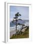 View of Haystack Rock and Cannon Beach, from Highway 101, Oregon, USA-Jamie & Judy Wild-Framed Photographic Print