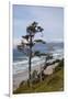 View of Haystack Rock and Cannon Beach, from Highway 101, Oregon, USA-Jamie & Judy Wild-Framed Photographic Print