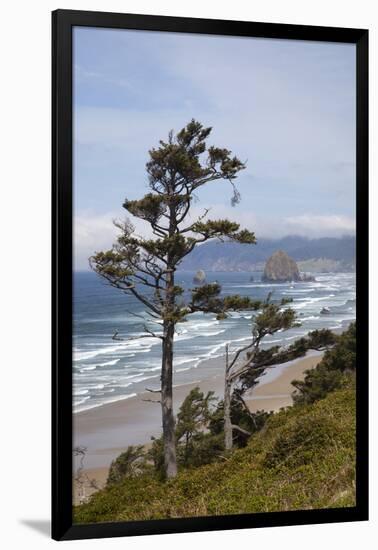 View of Haystack Rock and Cannon Beach, from Highway 101, Oregon, USA-Jamie & Judy Wild-Framed Photographic Print