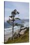 View of Haystack Rock and Cannon Beach, from Highway 101, Oregon, USA-Jamie & Judy Wild-Stretched Canvas