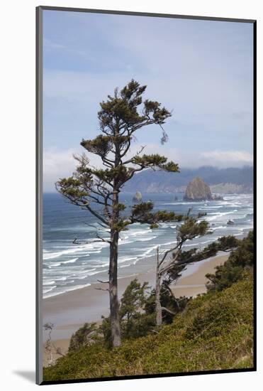 View of Haystack Rock and Cannon Beach, from Highway 101, Oregon, USA-Jamie & Judy Wild-Mounted Photographic Print