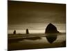 View of Haystack Rock on Cannon Beach at Sunset, Oregon, USA-Stuart Westmorland-Mounted Photographic Print
