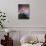 View of Heceta Head Lighthouse at Dusk, Oregon, USA-Stuart Westmorland-Photographic Print displayed on a wall