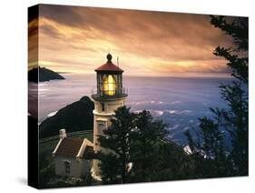 View of Heceta Head Lighthouse at Sunset, Oregon, USA-Stuart Westmorland-Stretched Canvas