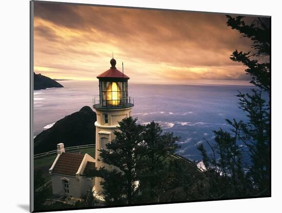 View of Heceta Head Lighthouse at Sunset, Oregon, USA-Stuart Westmorland-Mounted Premium Photographic Print
