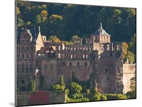 View of Heidelberg's Old Town and Heidelberg Castle from the Philosophenweg, Heidelberg, Germany-Michael DeFreitas-Mounted Premium Photographic Print