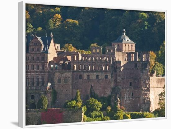 View of Heidelberg's Old Town and Heidelberg Castle from the Philosophenweg, Heidelberg, Germany-Michael DeFreitas-Framed Photographic Print