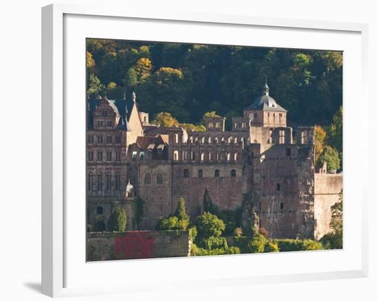 View of Heidelberg's Old Town and Heidelberg Castle from the Philosophenweg, Heidelberg, Germany-Michael DeFreitas-Framed Photographic Print