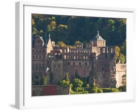 View of Heidelberg's Old Town and Heidelberg Castle from the Philosophenweg, Heidelberg, Germany-Michael DeFreitas-Framed Photographic Print