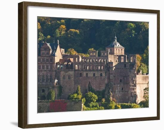 View of Heidelberg's Old Town and Heidelberg Castle from the Philosophenweg, Heidelberg, Germany-Michael DeFreitas-Framed Photographic Print