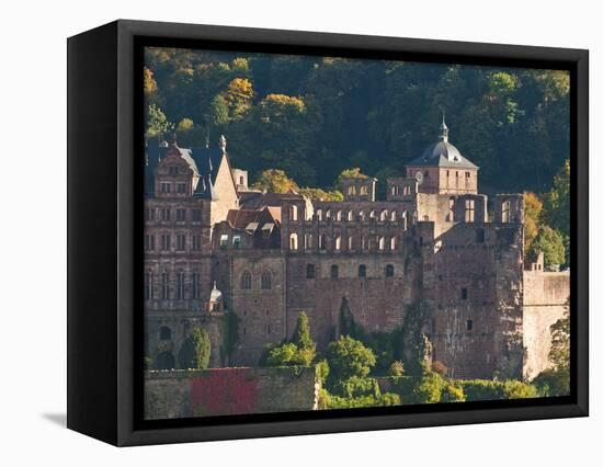 View of Heidelberg's Old Town and Heidelberg Castle from the Philosophenweg, Heidelberg, Germany-Michael DeFreitas-Framed Stretched Canvas