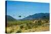 View of Helicopters Landing-null-Stretched Canvas