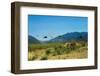 View of Helicopters Landing-null-Framed Photographic Print