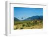 View of Helicopters Landing-null-Framed Photographic Print