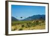 View of Helicopters Landing-null-Framed Photographic Print