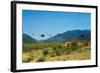 View of Helicopters Landing-null-Framed Photographic Print