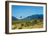 View of Helicopters Landing-null-Framed Photographic Print