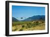 View of Helicopters Landing-null-Framed Photographic Print