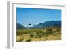 View of Helicopters Landing-null-Framed Photographic Print