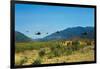 View of Helicopters Landing-null-Framed Photographic Print