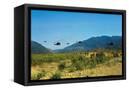 Canvas Black