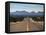 View of Highway 82, Tombstone, AZ-Walter Bibikow-Framed Stretched Canvas