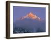 View of Himalayan Mountaintop-James Burke-Framed Photographic Print