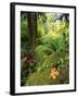 View of Hoh Rainforest, Olympic Peninsula, Olympic National Park, Washington State, USA-Michele Westmorland-Framed Premium Photographic Print