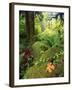 View of Hoh Rainforest, Olympic Peninsula, Olympic National Park, Washington State, USA-Michele Westmorland-Framed Photographic Print