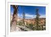 View of hoodoo formations from the Fairyland Trail in Bryce Canyon National Park, Utah, United Stat-Michael Nolan-Framed Photographic Print