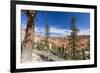 View of hoodoo formations from the Fairyland Trail in Bryce Canyon National Park, Utah, United Stat-Michael Nolan-Framed Photographic Print