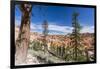 View of hoodoo formations from the Fairyland Trail in Bryce Canyon National Park, Utah, United Stat-Michael Nolan-Framed Photographic Print