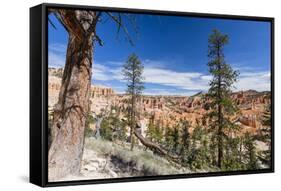 View of hoodoo formations from the Fairyland Trail in Bryce Canyon National Park, Utah, United Stat-Michael Nolan-Framed Stretched Canvas