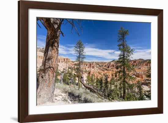 View of hoodoo formations from the Fairyland Trail in Bryce Canyon National Park, Utah, United Stat-Michael Nolan-Framed Photographic Print