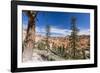 View of hoodoo formations from the Fairyland Trail in Bryce Canyon National Park, Utah, United Stat-Michael Nolan-Framed Photographic Print